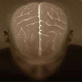 humano cerebro