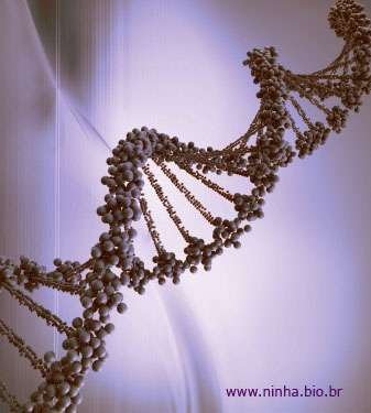 Sequenciamento do genoma humano