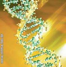 Sequenciamento do genoma humano